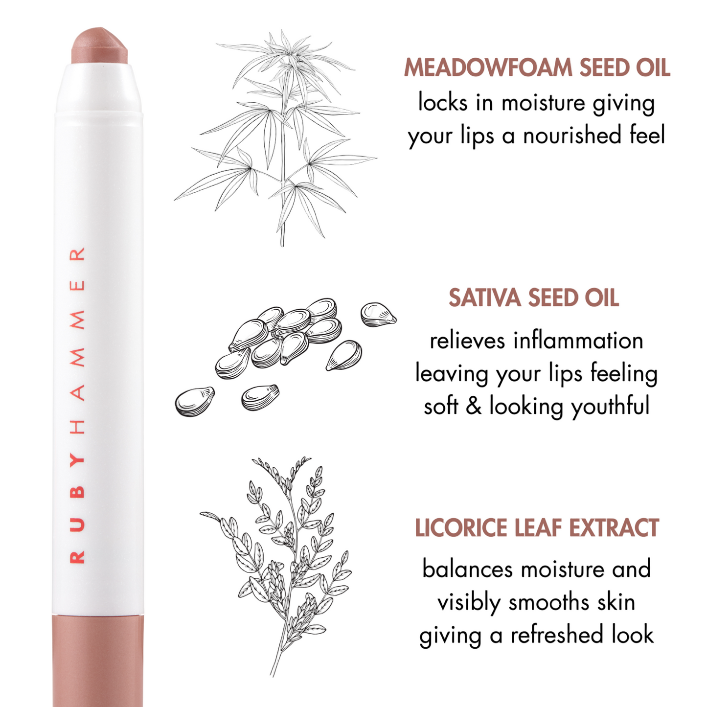 Lip balm with ingredients listed on a white background