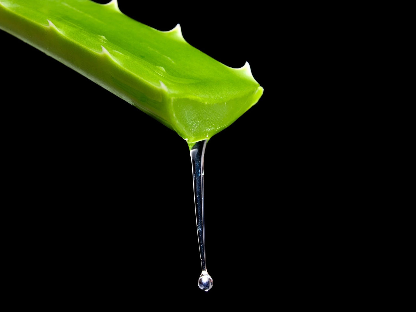 Aloe Vera Clear Gel – Pure Cosmetic Grade Skin Hydrator – Natural Moisturiser f - Herbalshire Handmade Herbal Products