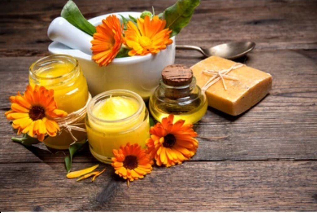 Arnica Cream for Bruising & Discomfort – Natural Herbal Formula – 60ml / 120ml / 200ml – Handmade in the UK - Herbalshire Handmade Herbal Products