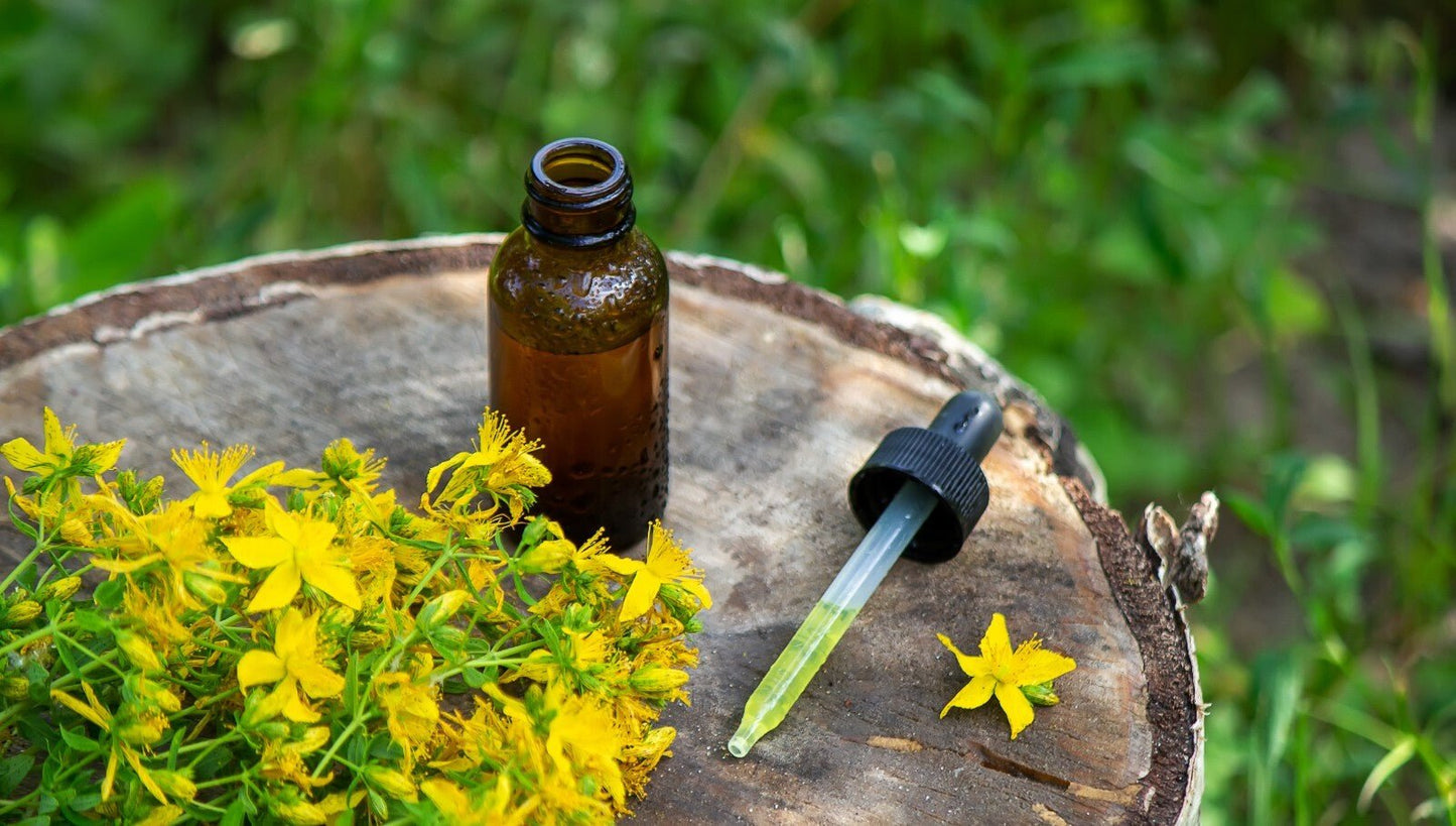 Arnica Massage Oil – Natural Herbal Remedy for Bruises Swelling & Aches Handmade - Herbalshire Handmade Herbal Products