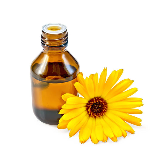 Arnica Massage Oil – Natural Herbal Remedy for Bruises Swelling & Aches Handmade - Herbalshire Handmade Herbal Products