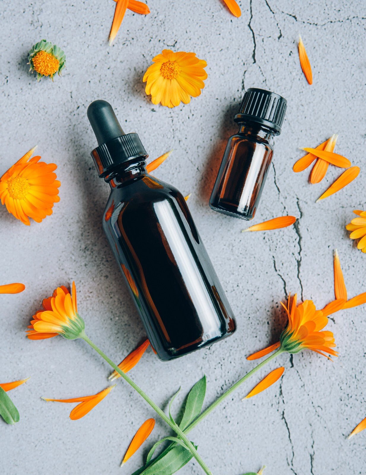 Aromatherapy Starter Kit - Essential Oils Carrier Oil - Gift Box - 6 Oils - Herbalshire Handmade Herbal Products