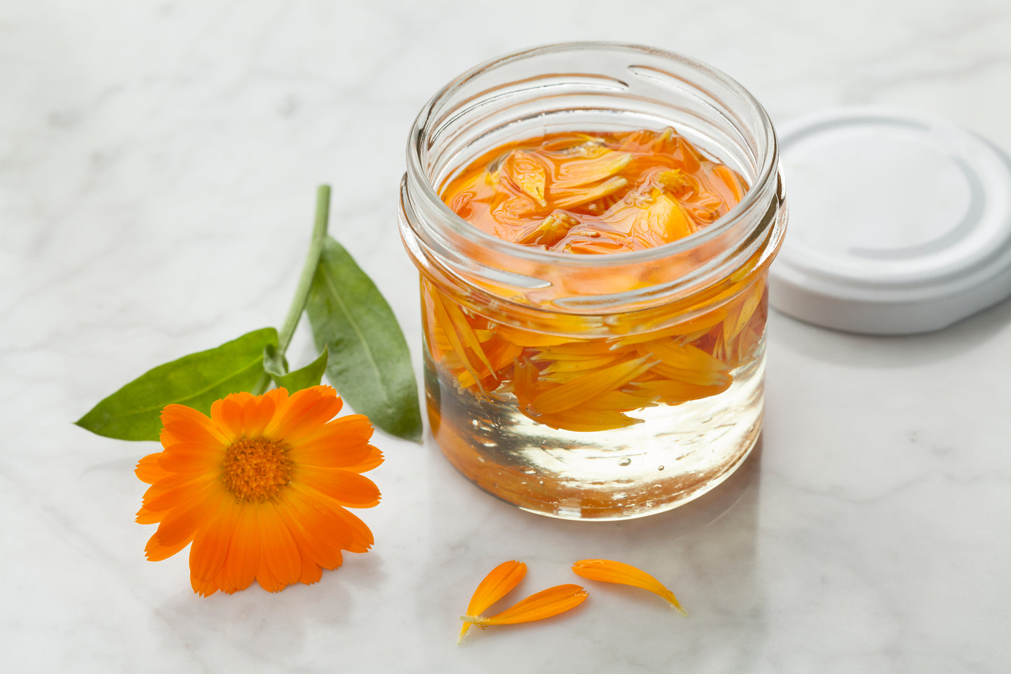 Calendula Cream Ointment – Natural Healing for Skin – 60ml / 120ml / 200ml | Handmade in Yorkshire