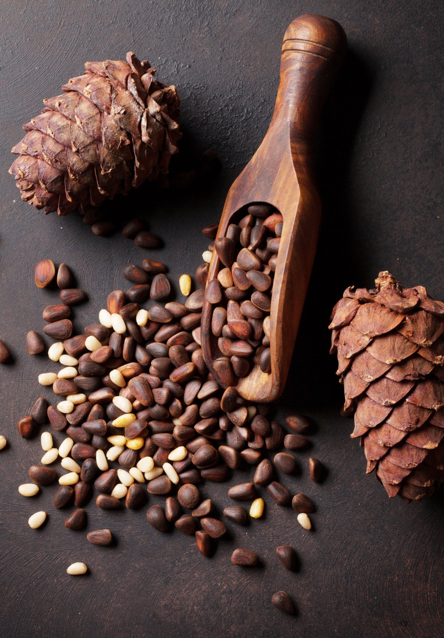 Cedarwood Essential Oil (Cedrus virginiana) - Herbalshire Handmade Herbal Products