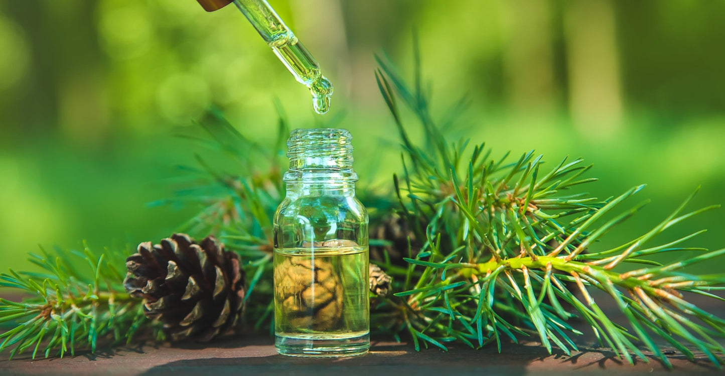 Cedarwood Essential Oil (Cedrus virginiana) - Herbalshire Handmade Herbal Products