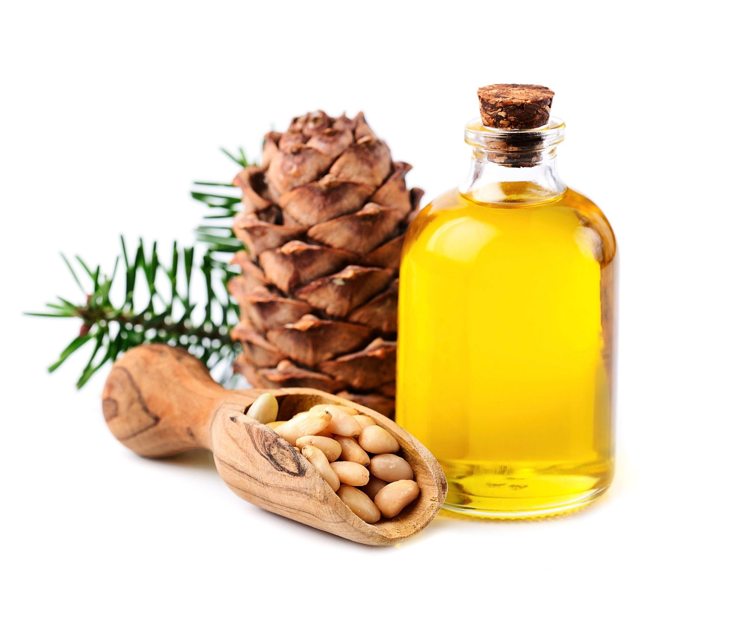 Cedarwood Essential Oil (Cedrus virginiana) - Herbalshire Handmade Herbal Products