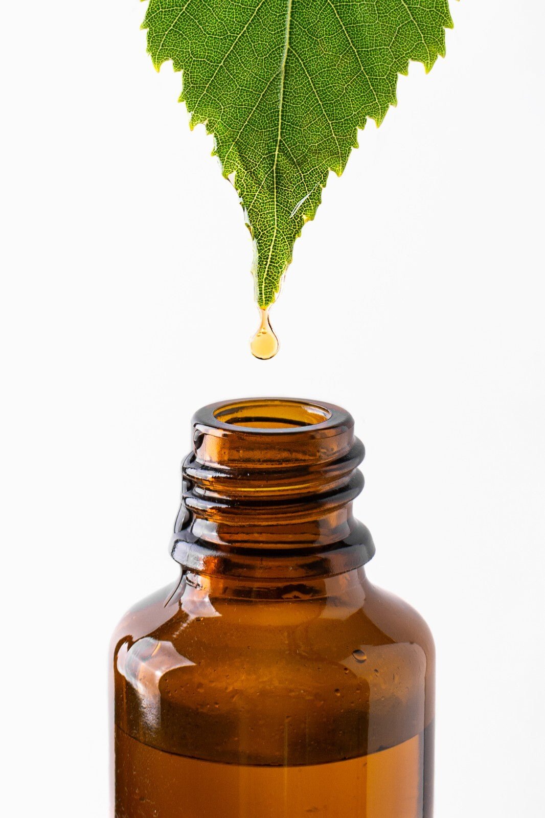 Handmade Arnica Balm Muscle Rub | Natural Pain Relief for Bruises & Sore Muscles - Herbalshire Handmade Herbal Products