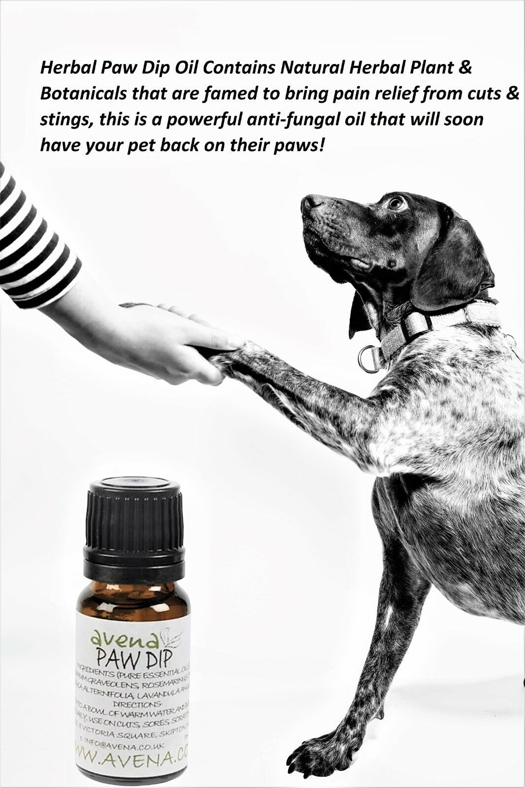 Natural Paw Dip - Essential Oil Blend for Minor Paw Problems - 10ml - Herbalshire Handmade Herbal Products