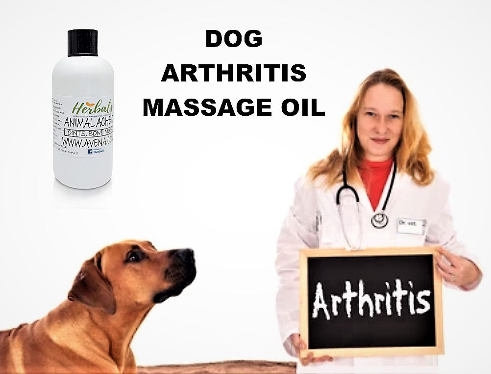 Natural Pet Pain Relief Oil for Dogs & Cats – Herbal Arthritis & Muscle Ache Remedy