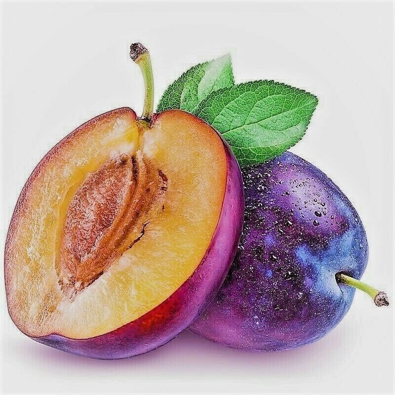 Plum Seed Kernel Oil Skin Rejuvenator For Wrinkles Blemished Damaged Skin - Herbalshire Handmade Herbal Products