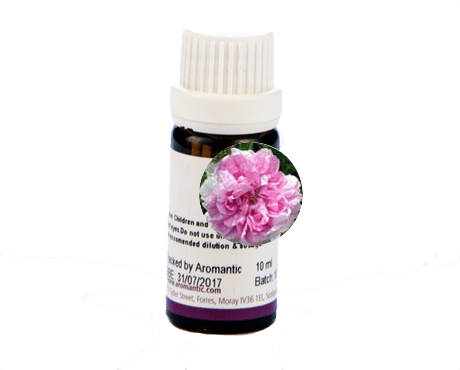 Rose de Mai Absolute - Herbalshire Handmade Herbal Products