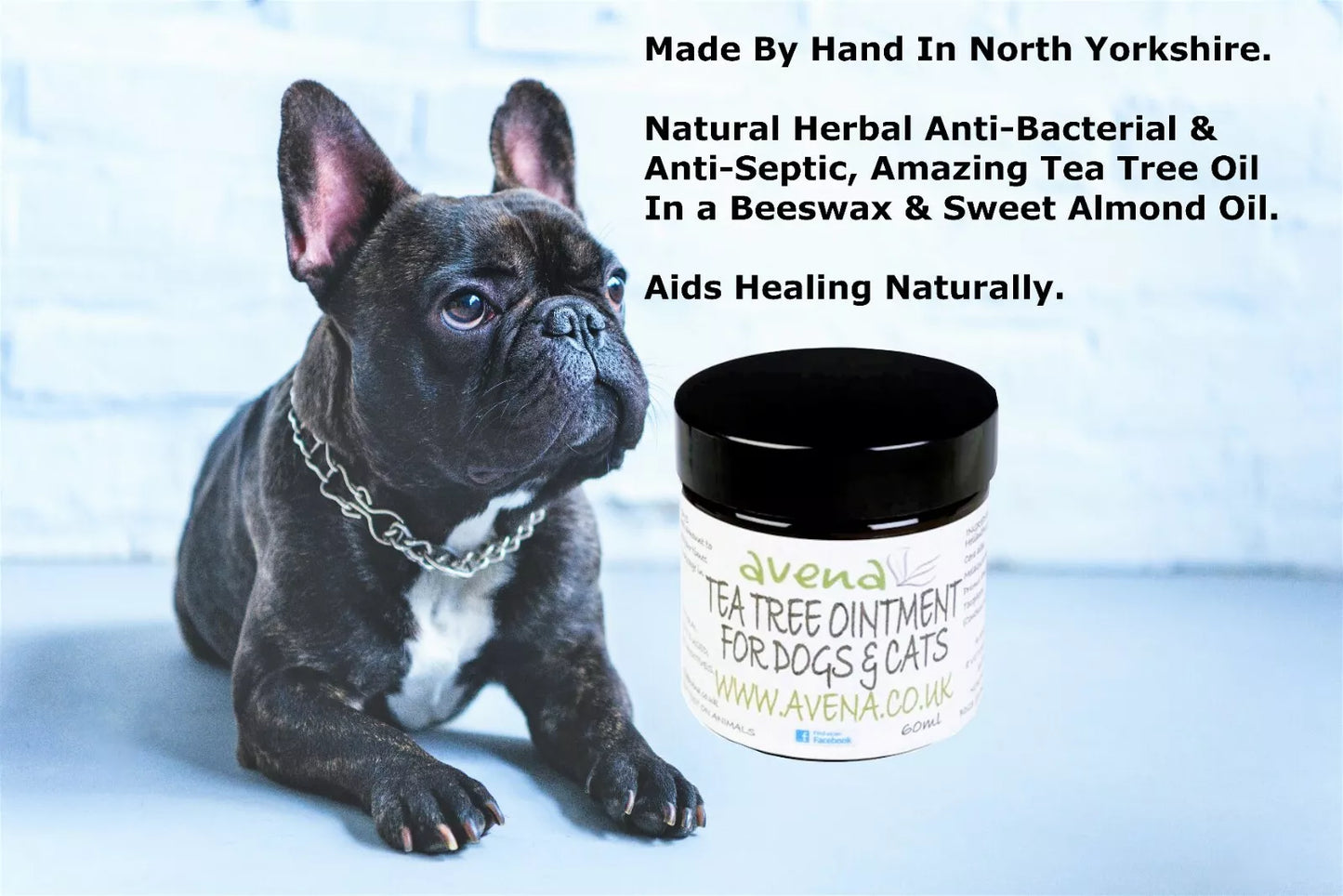 Tea Tree Balm for Dogs & Cats – Natural Pet Paw & Skin Balm – Soothes Dry Itchy