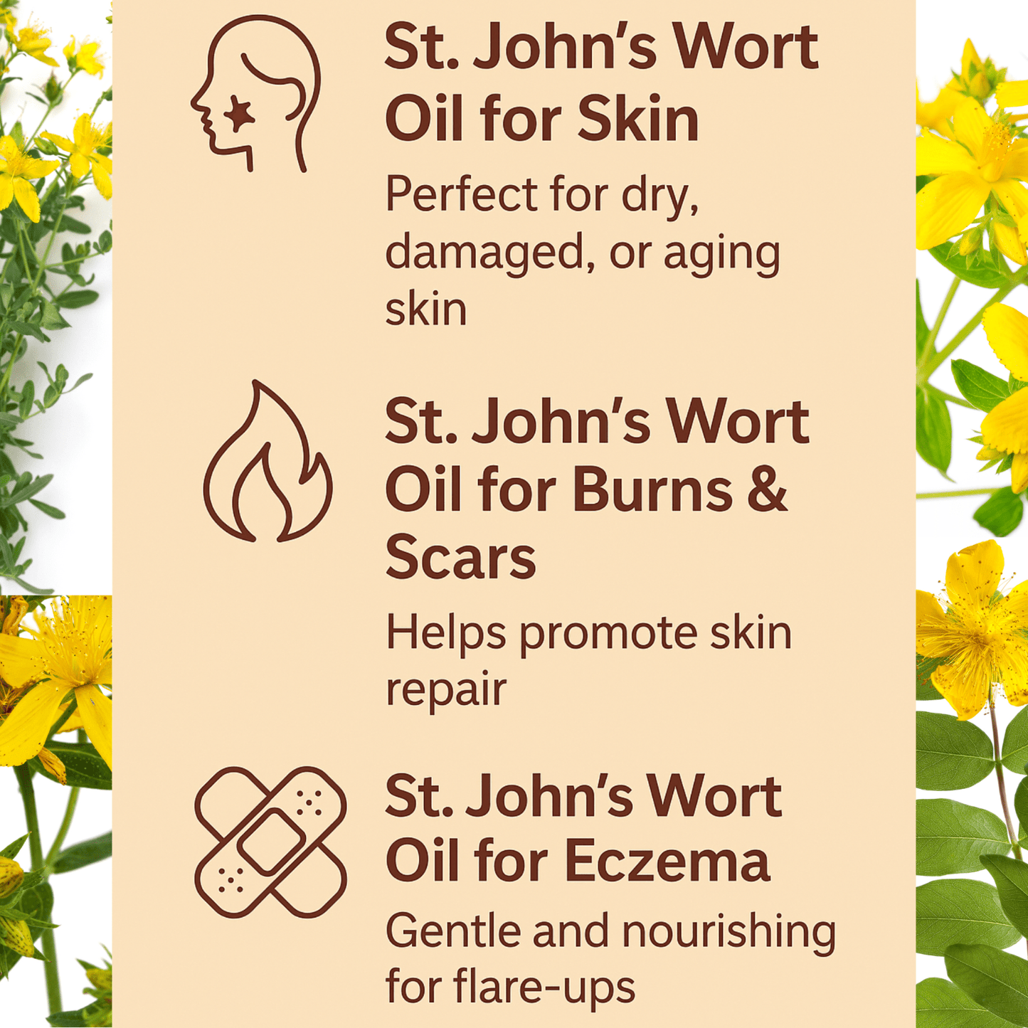 St John’s Wort Oil for Skin Nerve Pain Burns Eczema Scars – Herbal Oil UK Made - Herbalshire Handmade Herbal Products