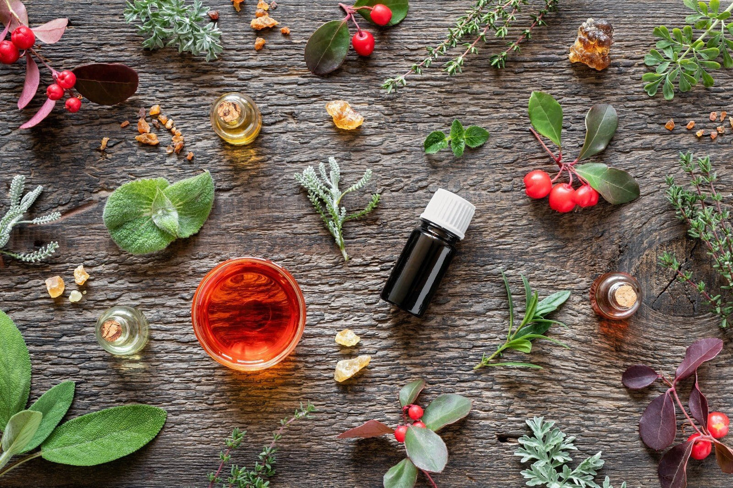 Turmeric Essential Oil - Fresh, Spicy, and Woody Aroma | 10ml Made In Yorkshire - Herbalshire Handmade Herbal Products