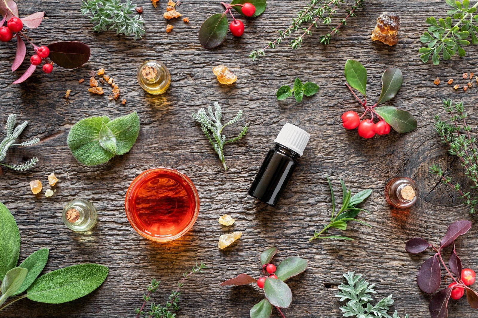 Turmeric Essential Oil - Fresh, Spicy, and Woody Aroma | 10ml Made In Yorkshire - Herbalshire Handmade Herbal Products
