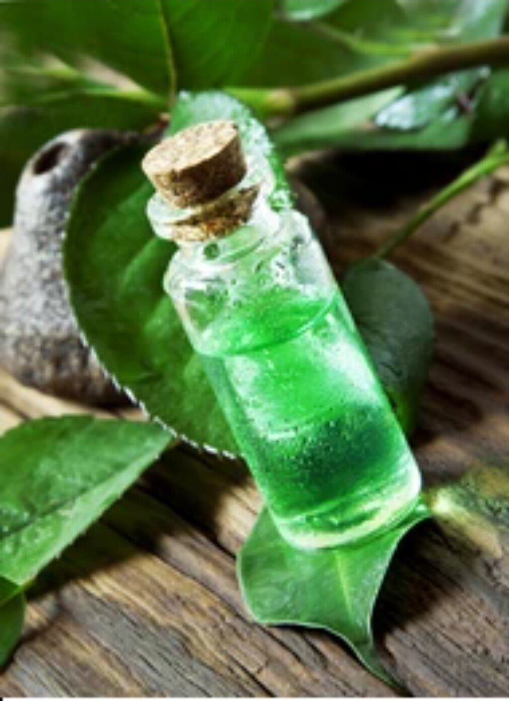 Wintergreen Oil Arthritis Antibacterial Joint Pain Highest UK Quality - Herbalshire Handmade Herbal Products