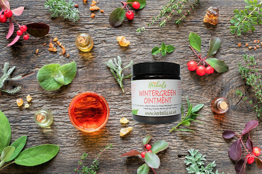Wintergreen Rub Cream for Pain – Handmade Ointment UK – 60ml 120ml 200ml - Herbalshire Handmade Herbal Products