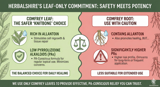 Is Comfrey Cream Safe to Use? Why We Only Use Comfrey Leaf (Not Root)