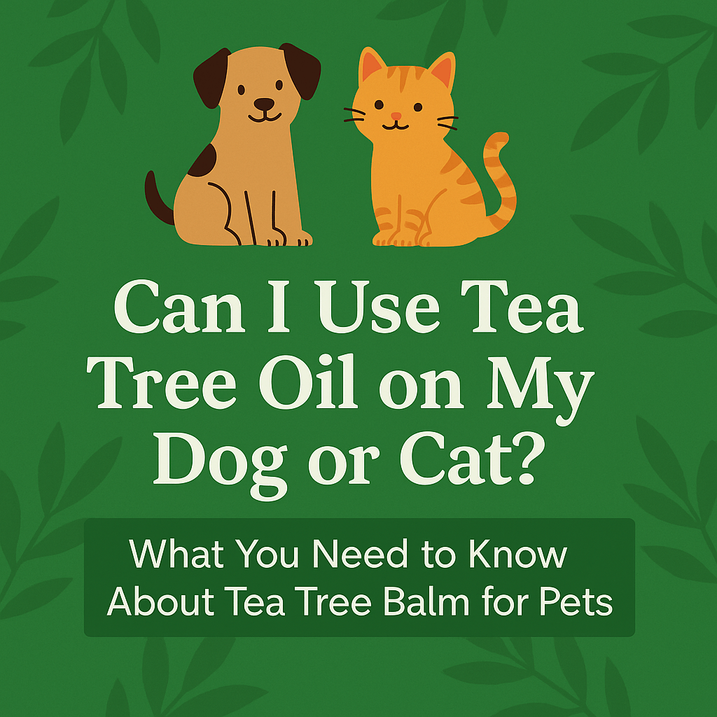 Can I Use Tea Tree Oil on My Dog or Cat? What You Need to Know About Tea Tree Balm for Pets - Herbalshire Handmade Herbal Products