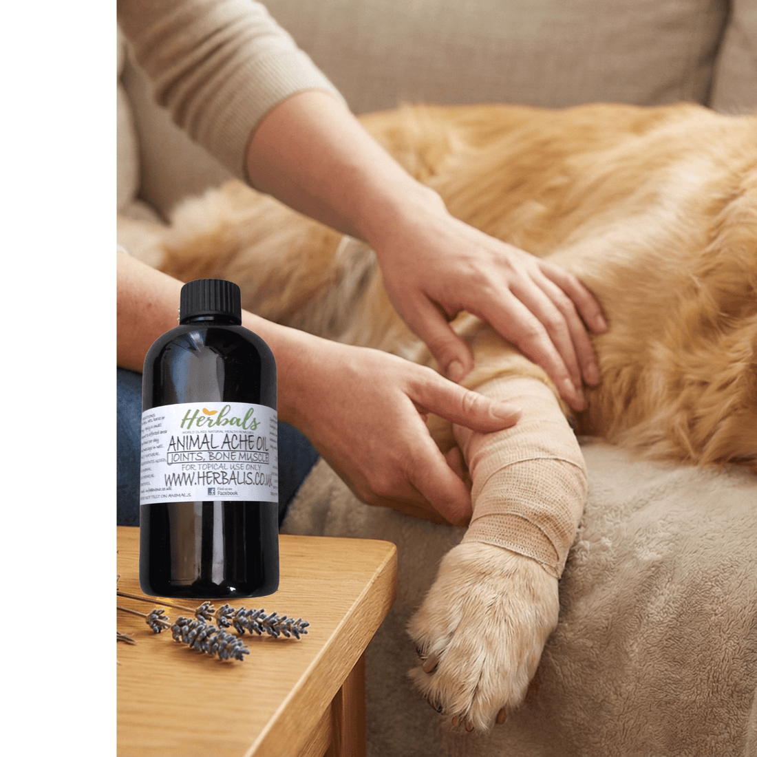 Recovering from Fractures and Sprains: How Comfrey Helps Your Pet - Herbalshire Handmade Herbal Products