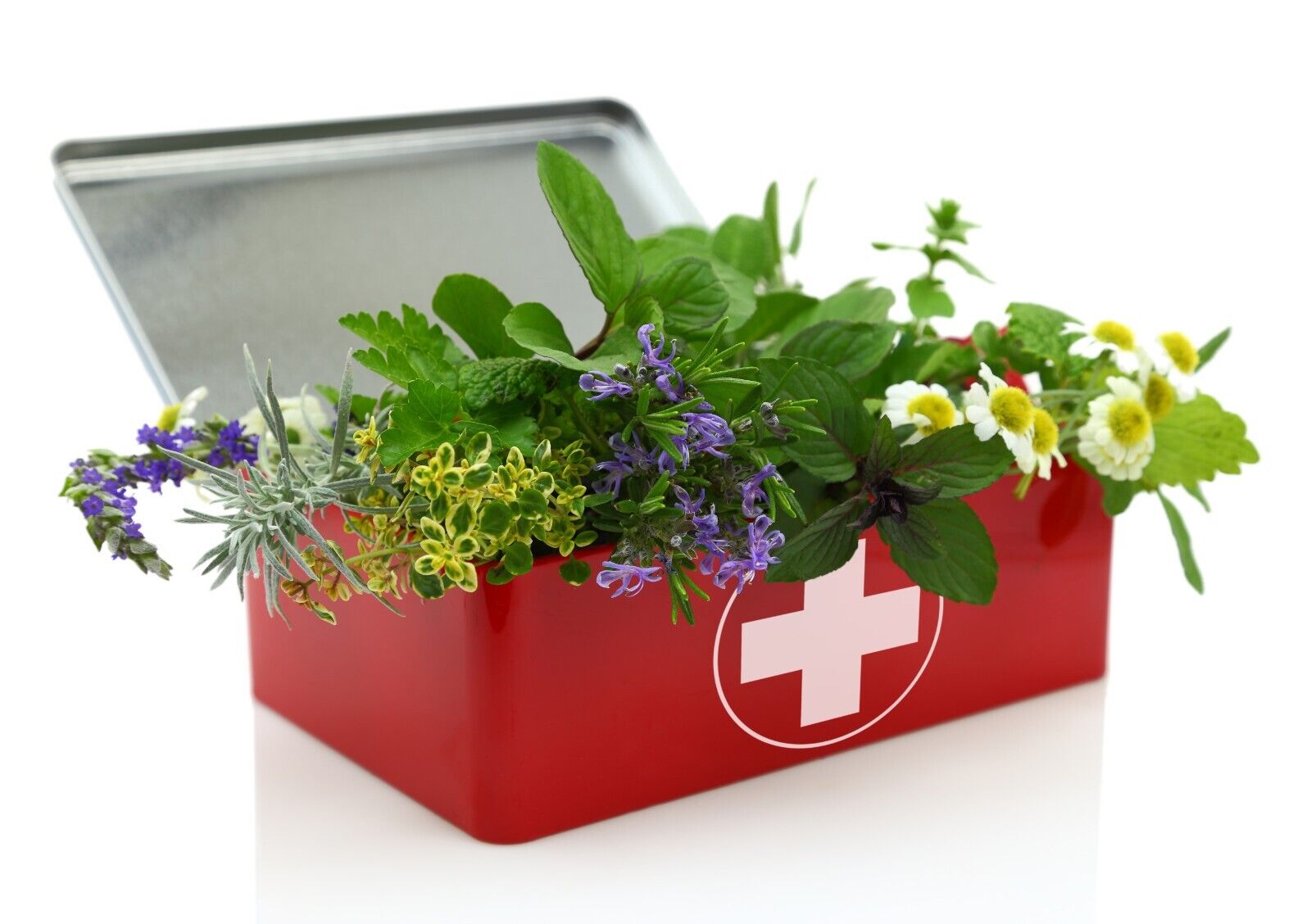 Nature's First Aid Box