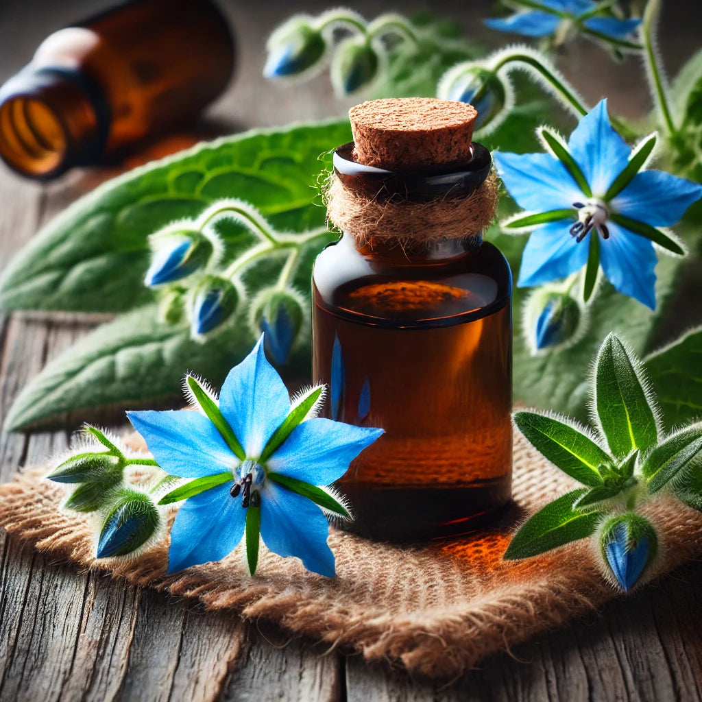 Herbalshire Borage Oil (Starflower Oil) - 100ml - 100% Natural Cold-Pressed - H