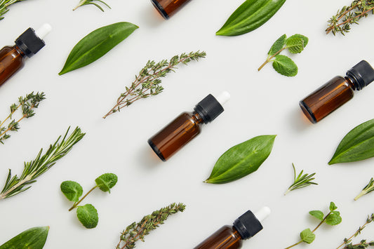 Basil Essential Oil Made In The UK