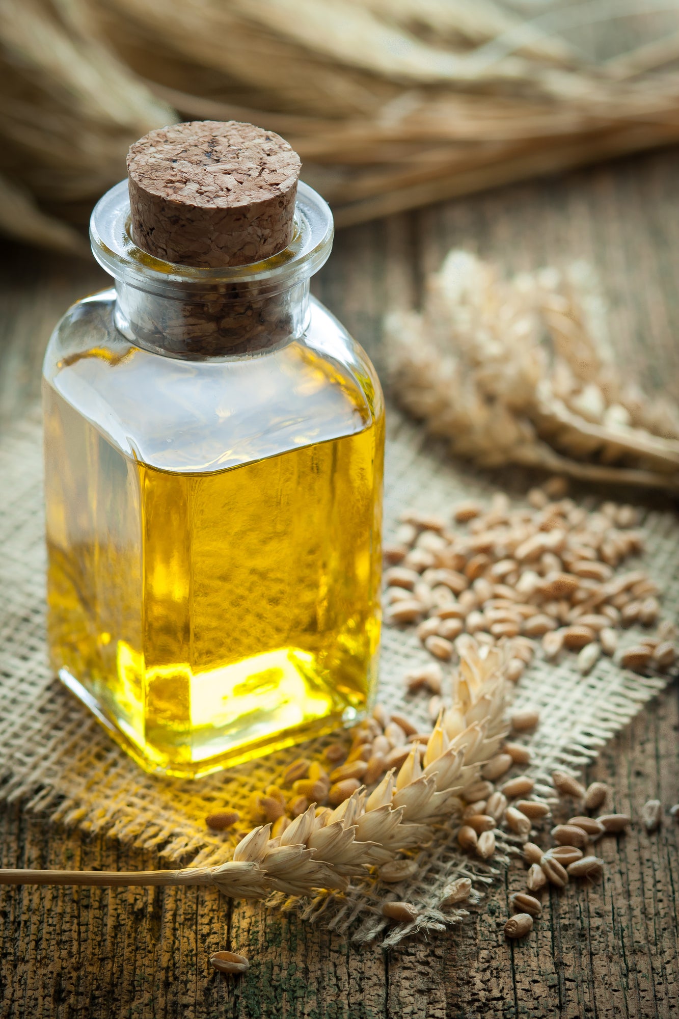 Plum Oil for Skin and Hair - Nourishing and Moisturizing Rich in Antioxidants a
