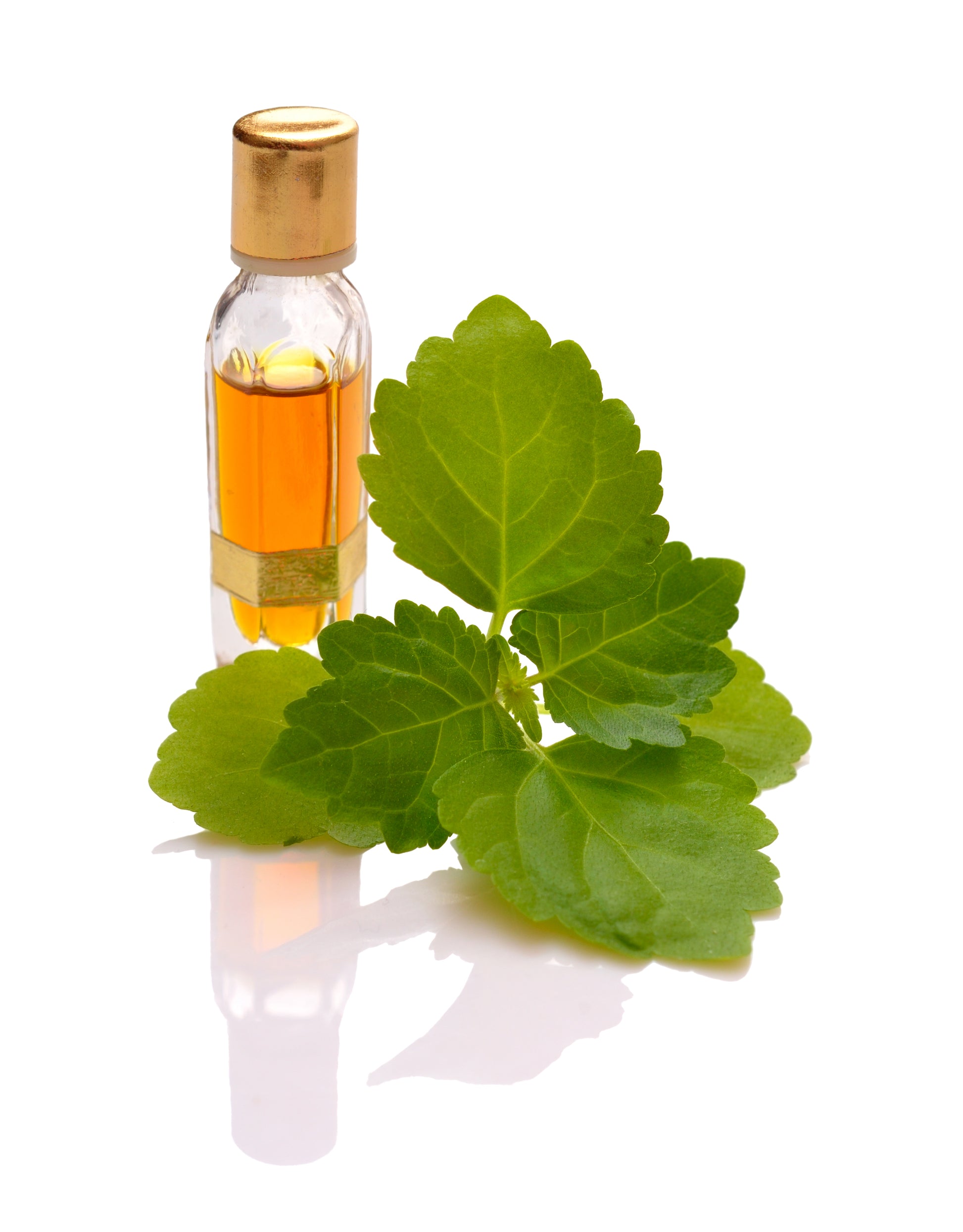 Comfrey Oil Natural Remedy for Skin & Bone Injuries