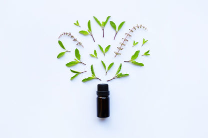 Plant herbal oils