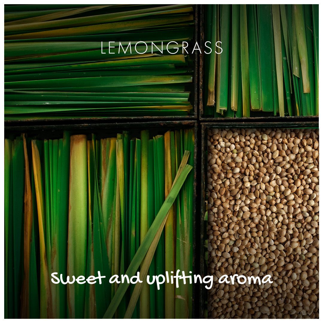 Natural Soap On A Rope - 'Zingy' Lemongrass 125g