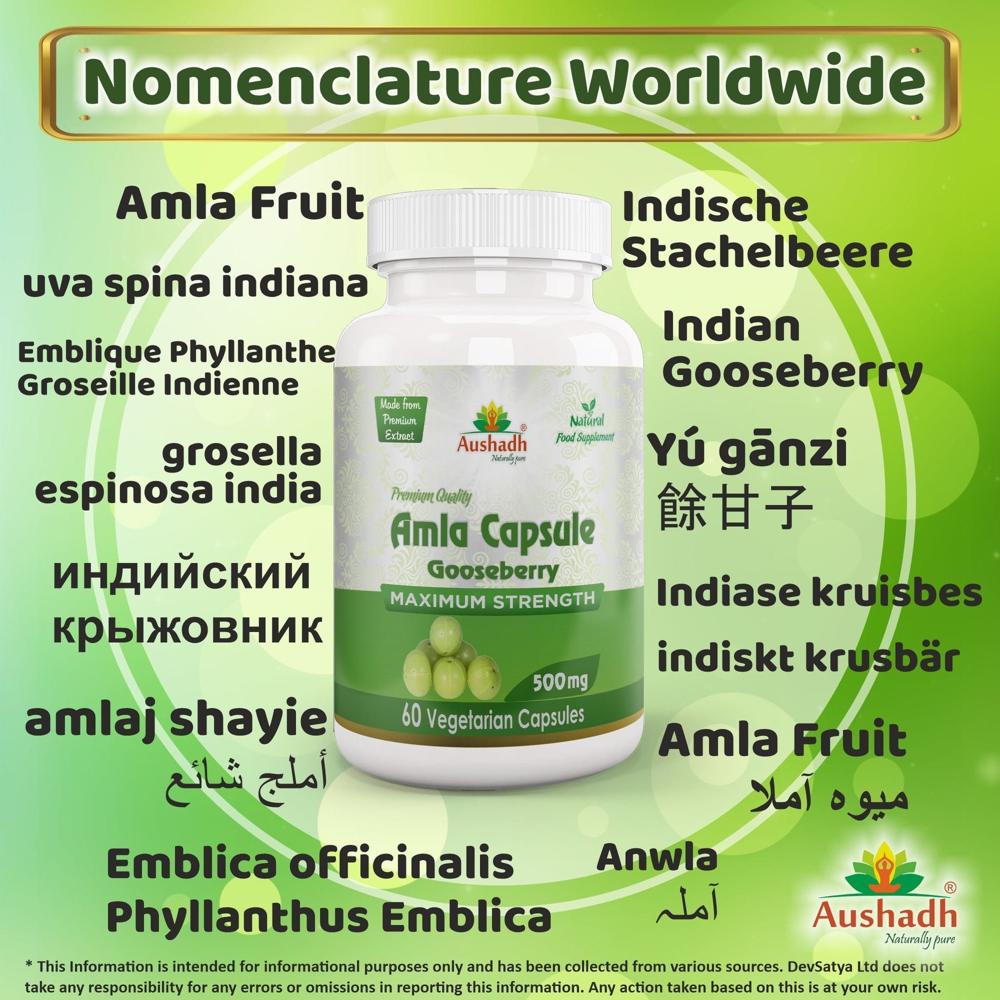 Amla Fruit (Gooseberry) Capsule - Herbalshire Handmade Herbal Products