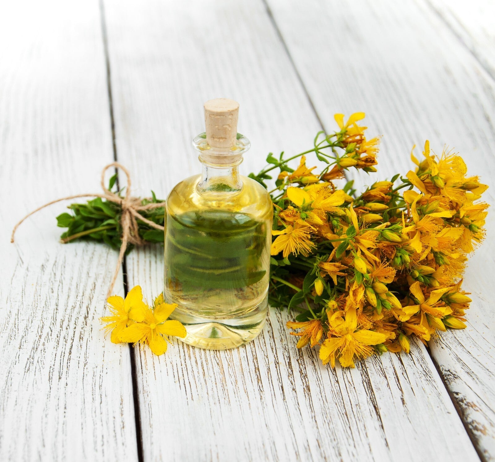 Arnica Cream for Bruises & Scars – Handmade Herbal Ointment - Herbalshire Handmade Herbal Products
