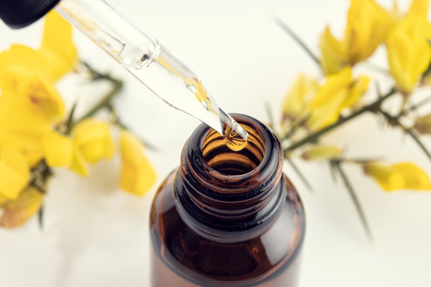 Arnica Massage Oil – Natural Herbal Remedy for Bruises Swelling & Aches Handmade - Herbalshire Handmade Herbal Products