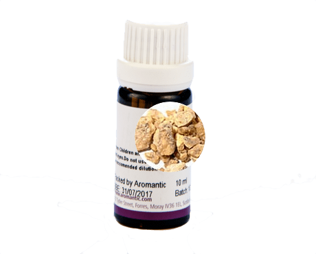 Benzoin Essential Oil - Herbalshire Handmade Herbal Products