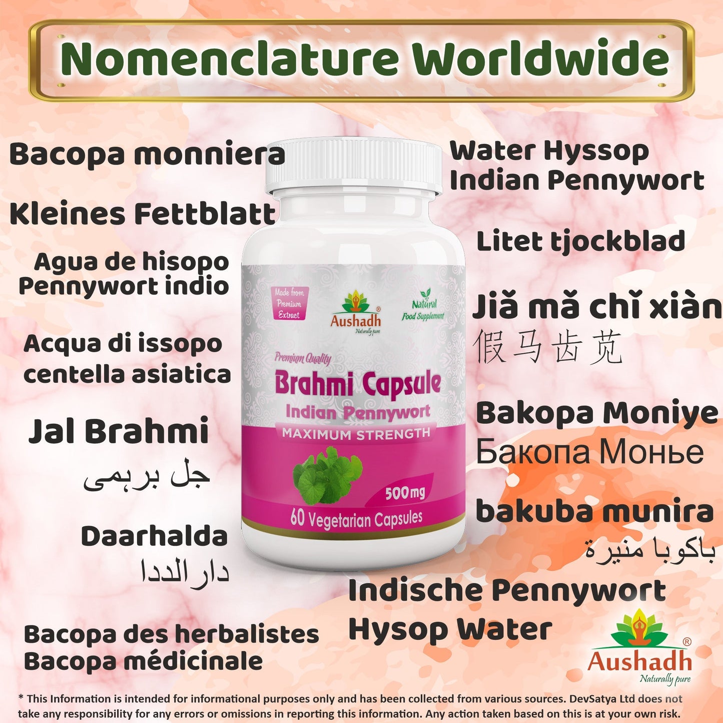 Brahmi Capsule - Herbalshire Handmade Herbal Products