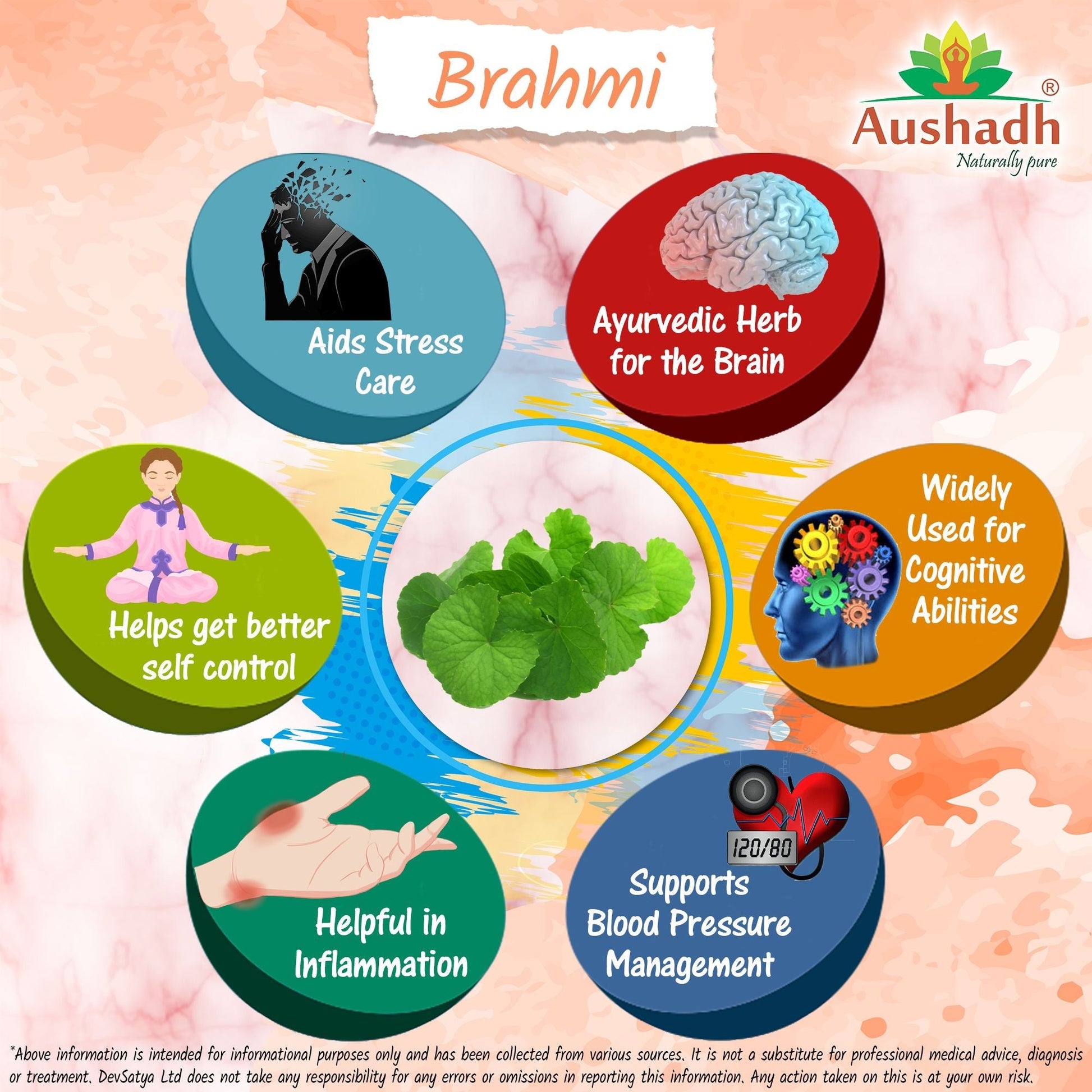 Brahmi Powder - Herbalshire Handmade Herbal Products