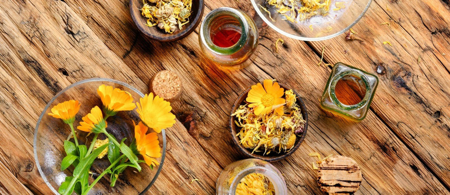 Calendula Cream Ointment Natural Healing Cuts Burns Acne Stretch Marks Handmade - Herbalshire Handmade Herbal Products