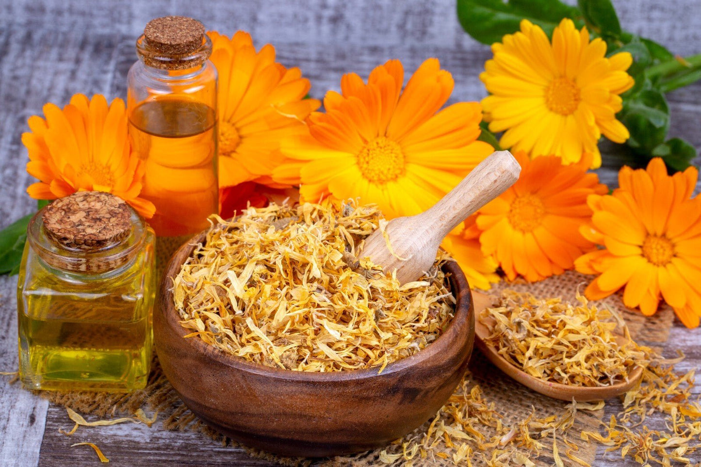 Calendula Cream Ointment Natural Healing Cuts Burns Acne Stretch Marks Handmade - Herbalshire Handmade Herbal Products