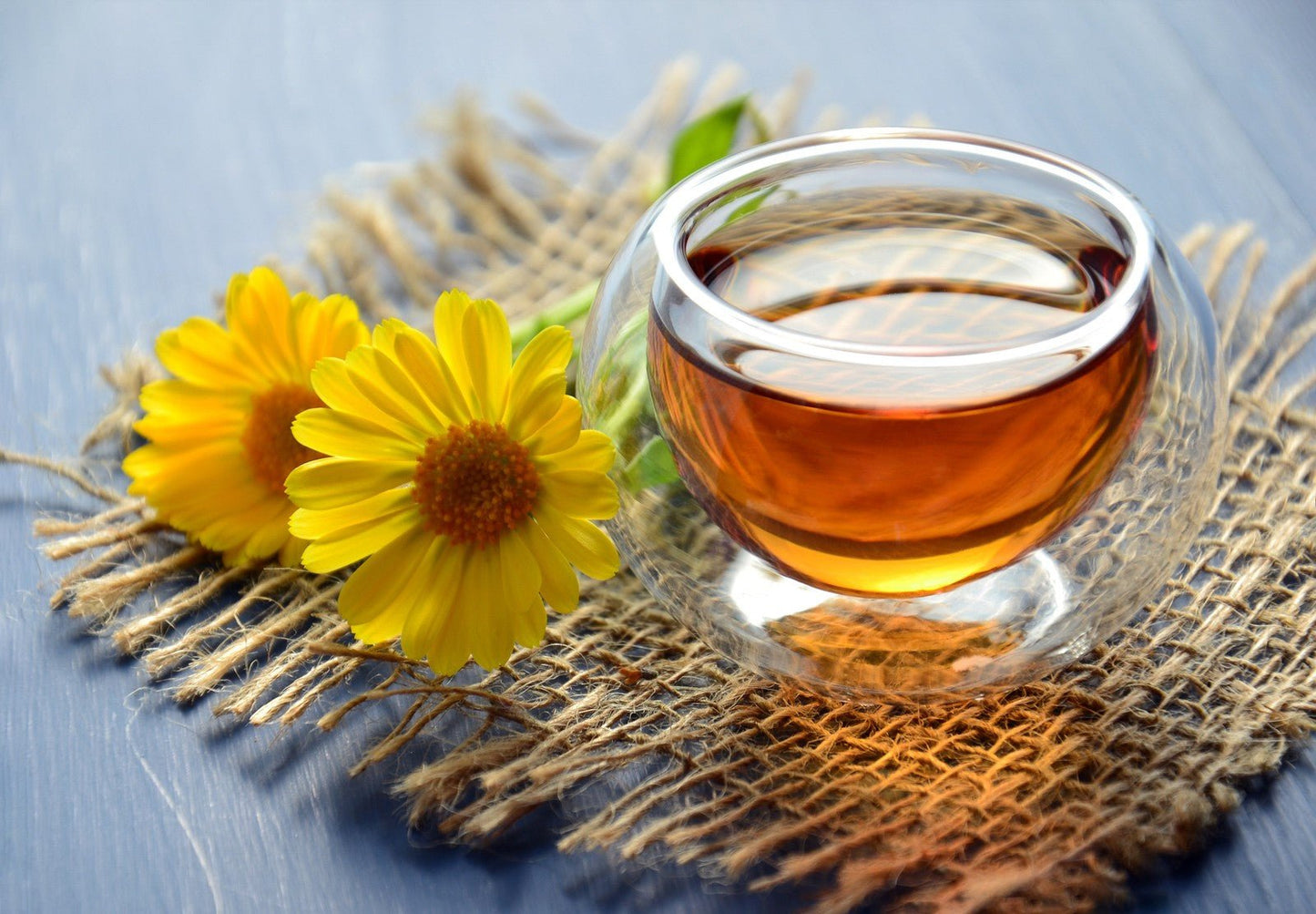 Calendula Ointment UK 60ml - Natural Healing for Cuts, Burns, Acne, and Stretch - Herbalshire Handmade Herbal Products