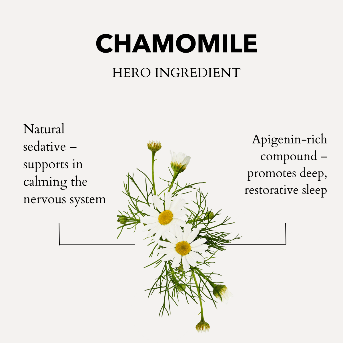 Calming Bath & Shower Oil with Roman Chamomile – Sleep & Stress Relief - Herbalshire Handmade Herbal Products
