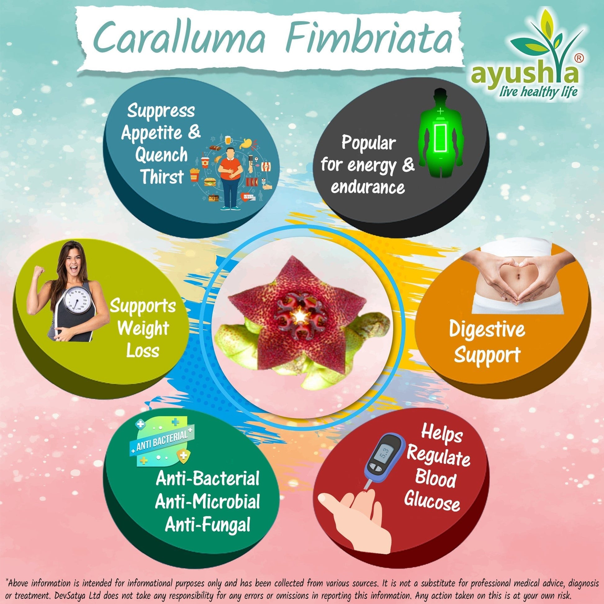 Caralluma Fimbriata Capsule - Herbalshire Handmade Herbal Products
