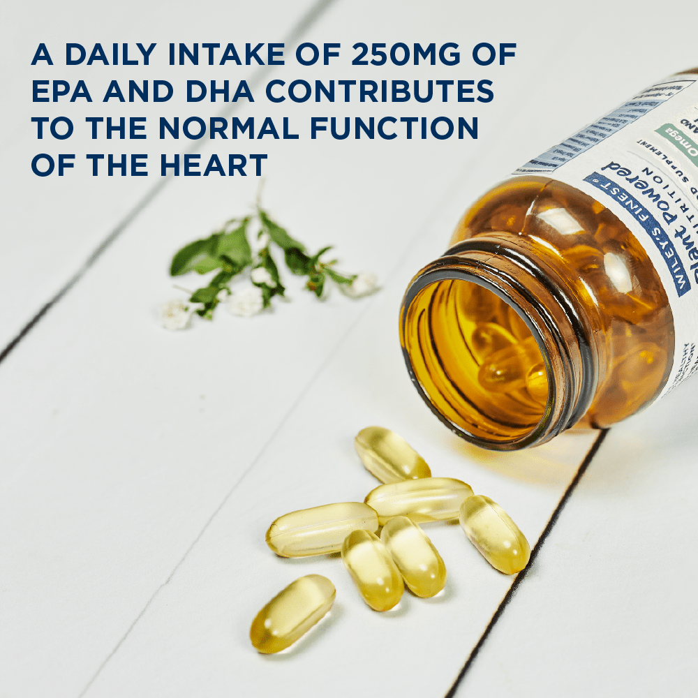 CATCHFREE OMEGA Vegan Omega - 3 Capsules - Herbalshire Handmade Herbal Products