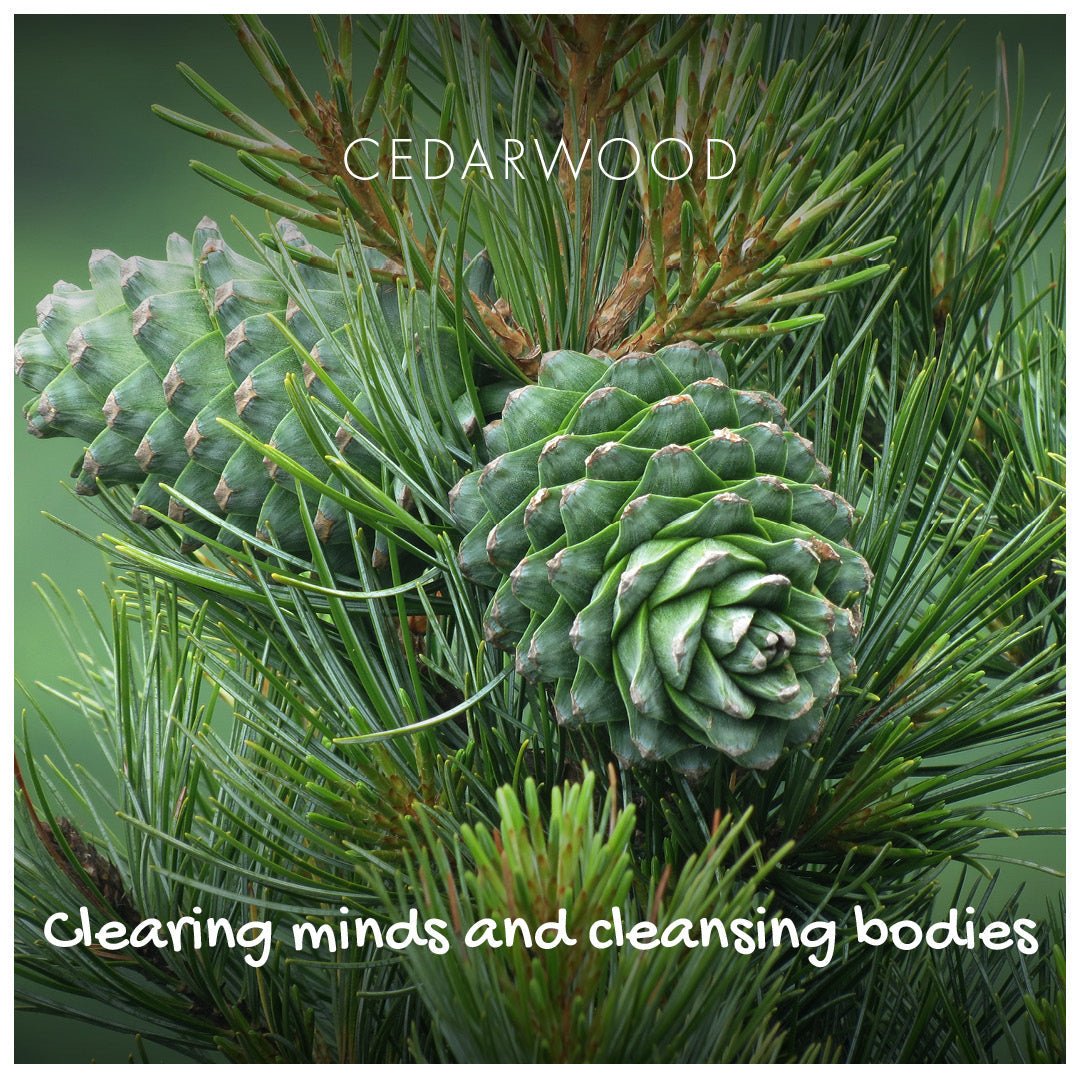 Cedarwood Natural Soap - Herbalshire Handmade Herbal Products