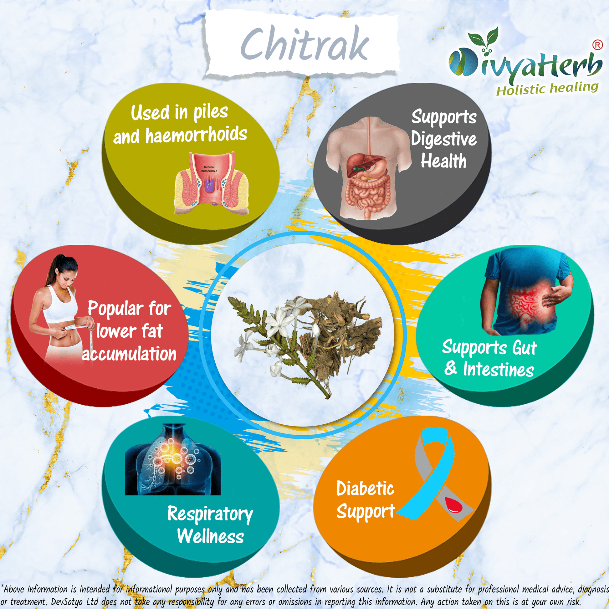Chitrak Powder (Plumbago zeylanica) - Herbalshire Handmade Herbal Products