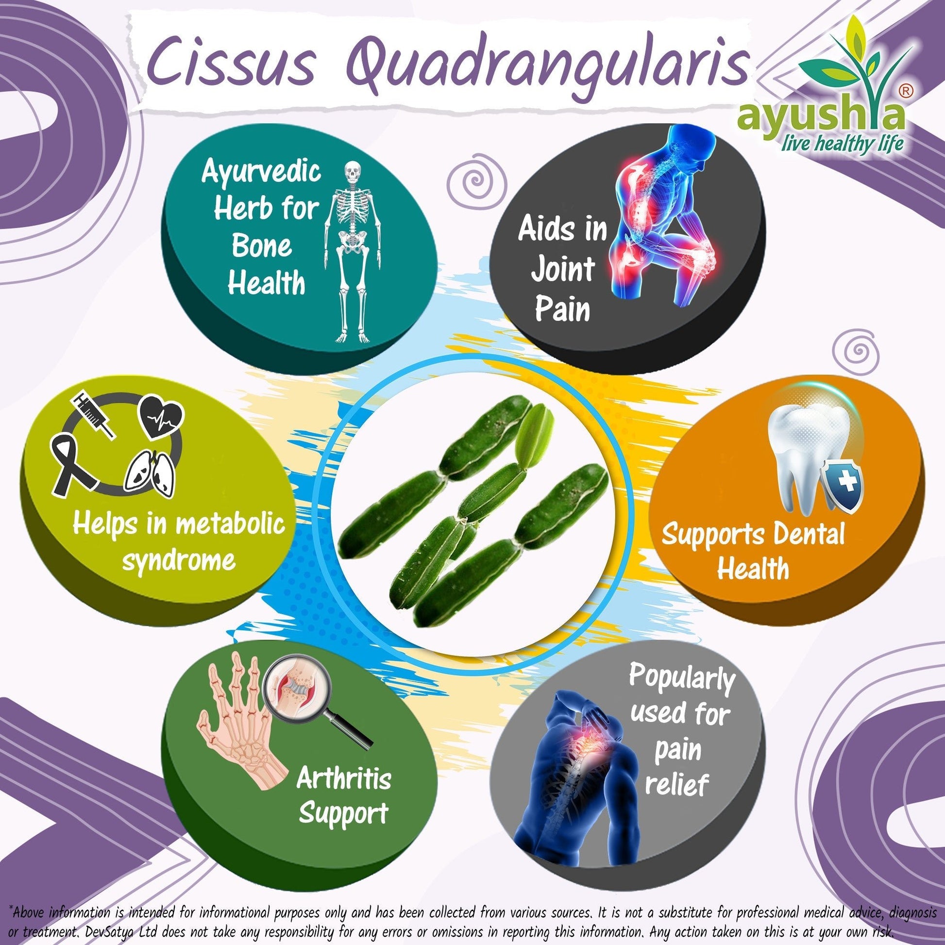 Cissus Quadrangularis (HadJod) Capsule - Herbalshire Handmade Herbal Products