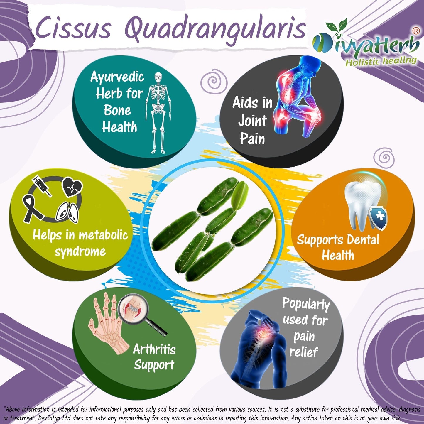Cissus Quadrangularis Powder - Herbalshire Handmade Herbal Products
