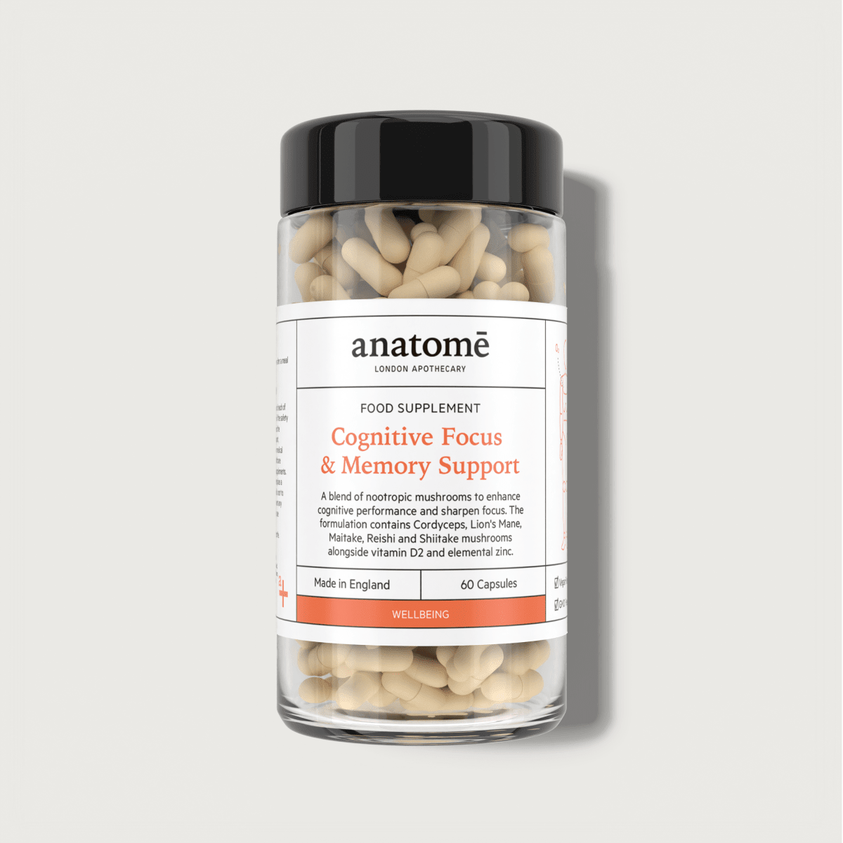 Cognitive Focus & Memory Support - Herbalshire Handmade Herbal Products