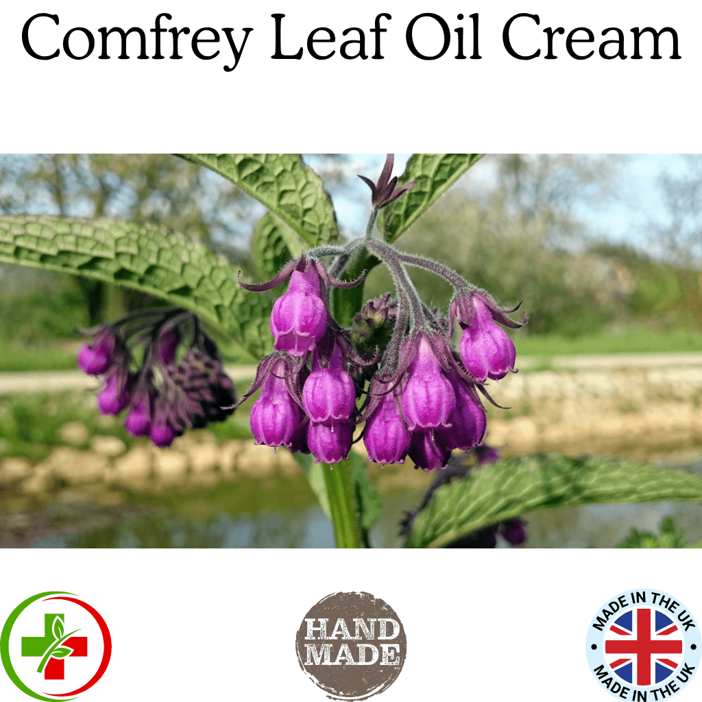 Comfrey Leaf Oil Salve Handmade In Yorkshire - Herbalshire Handmade Herbal Products