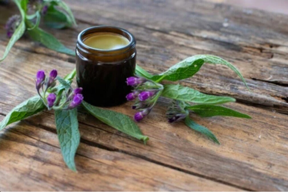 Comfrey Ointment UK – Natural Herbal Balm for Joints, Muscles & Bruises – Handmade in Yorkshire - Herbalshire Handmade Herbal Products